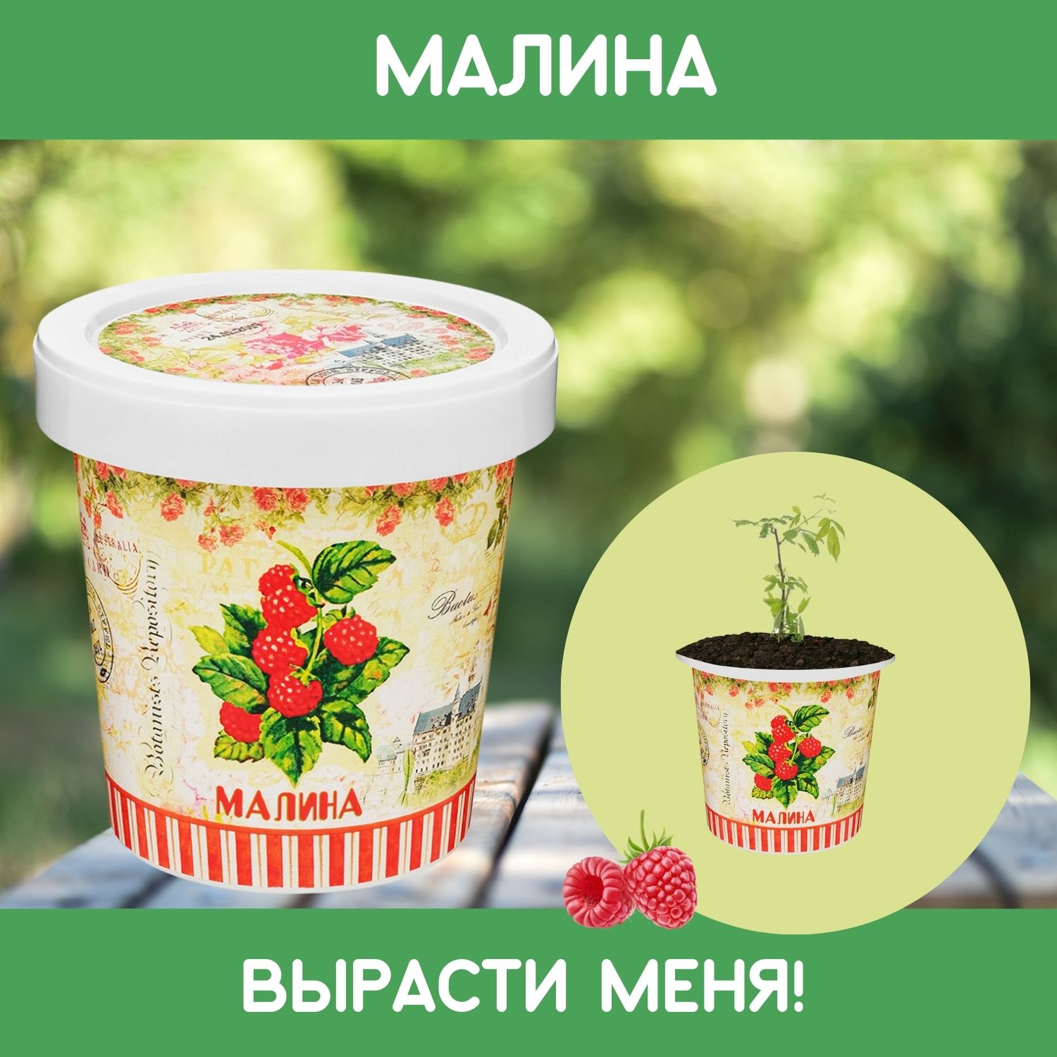 Набор для выращивания Rostok Visa - фото 1