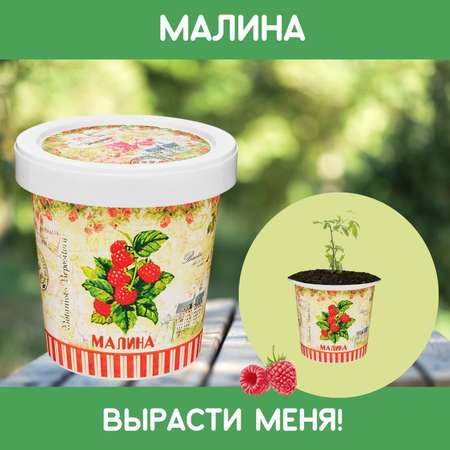Набор для выращивания Rostok Visa