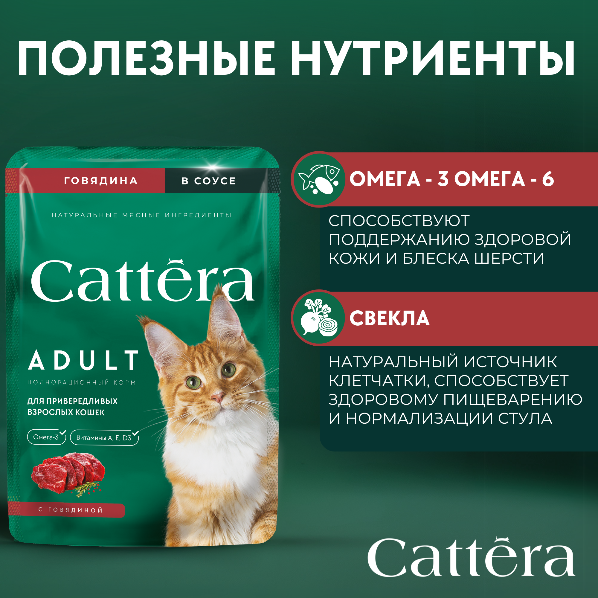 Корм влажный Cattera консервированный полнорационный с говядиной в соусе для взрослых кошек - фото 4