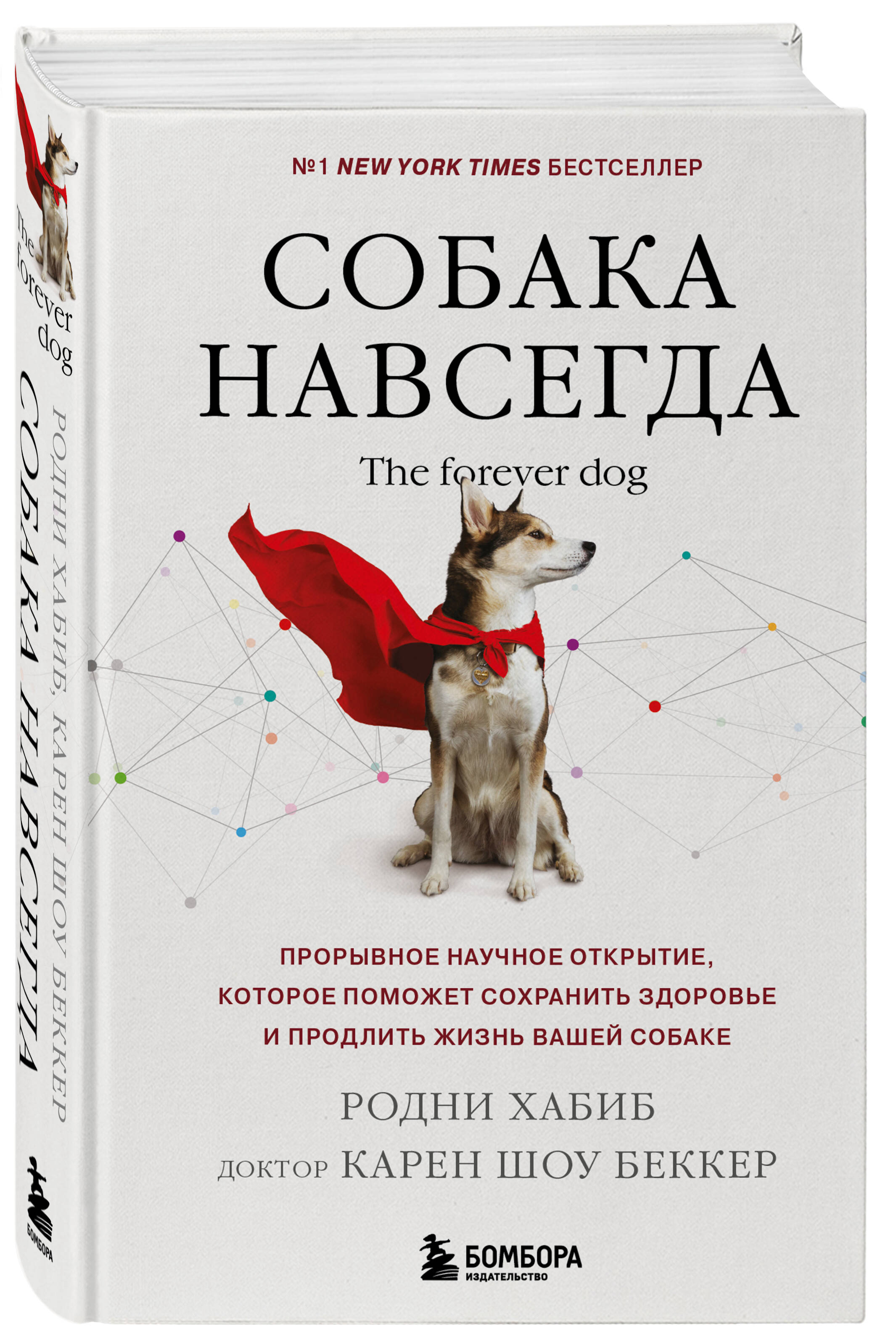 Книга БОМБОРА Собака навсегда. The forever dog - фото 5
