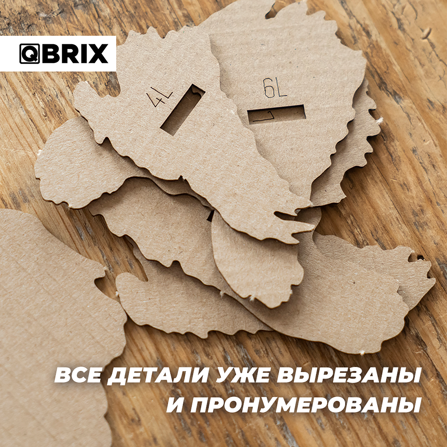 Пазл QBRIX Эйнштейн 3D - фото 4
