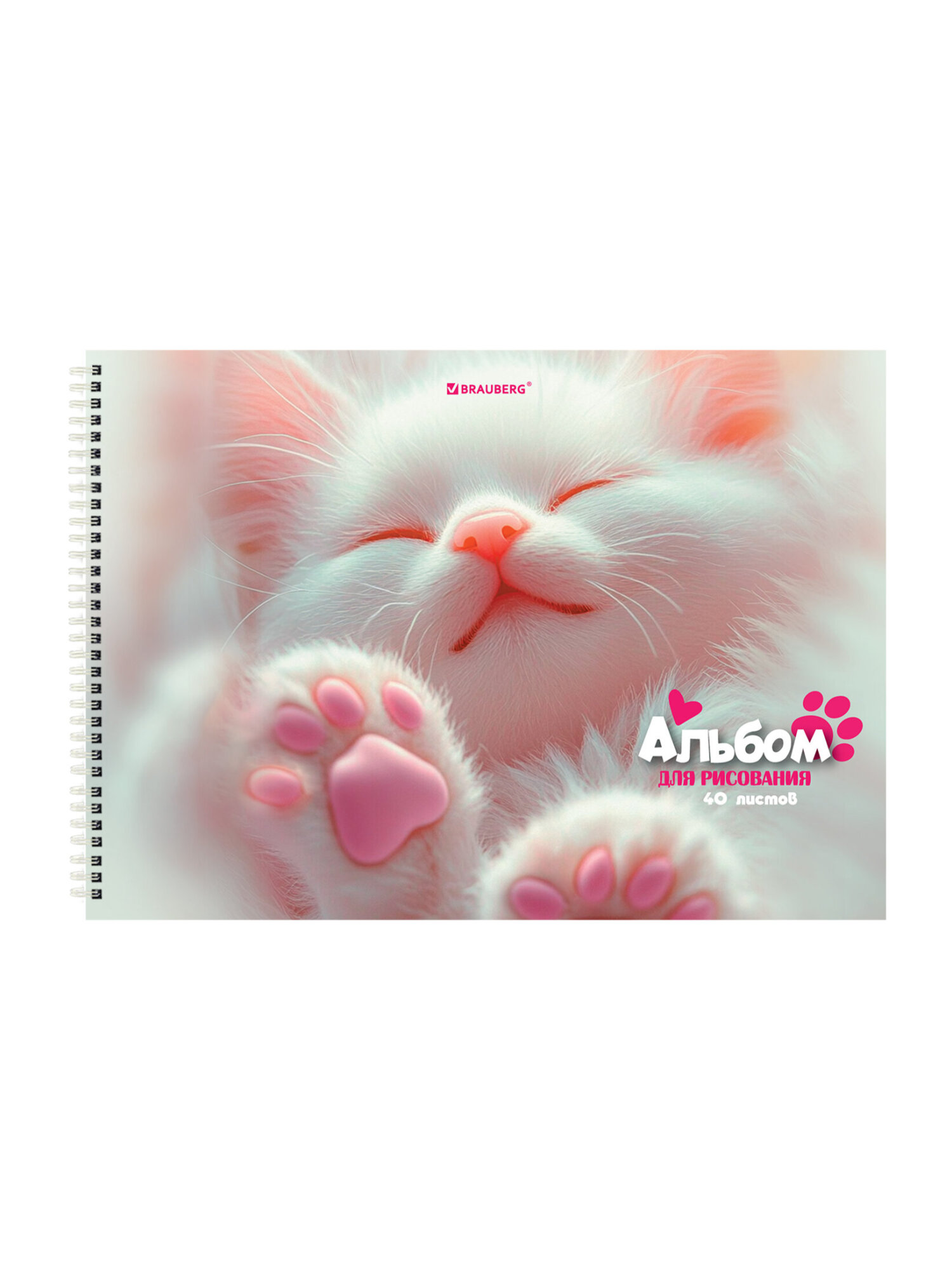 Альбом Brauberg А4 40 лист. 2 шт. - фото 3