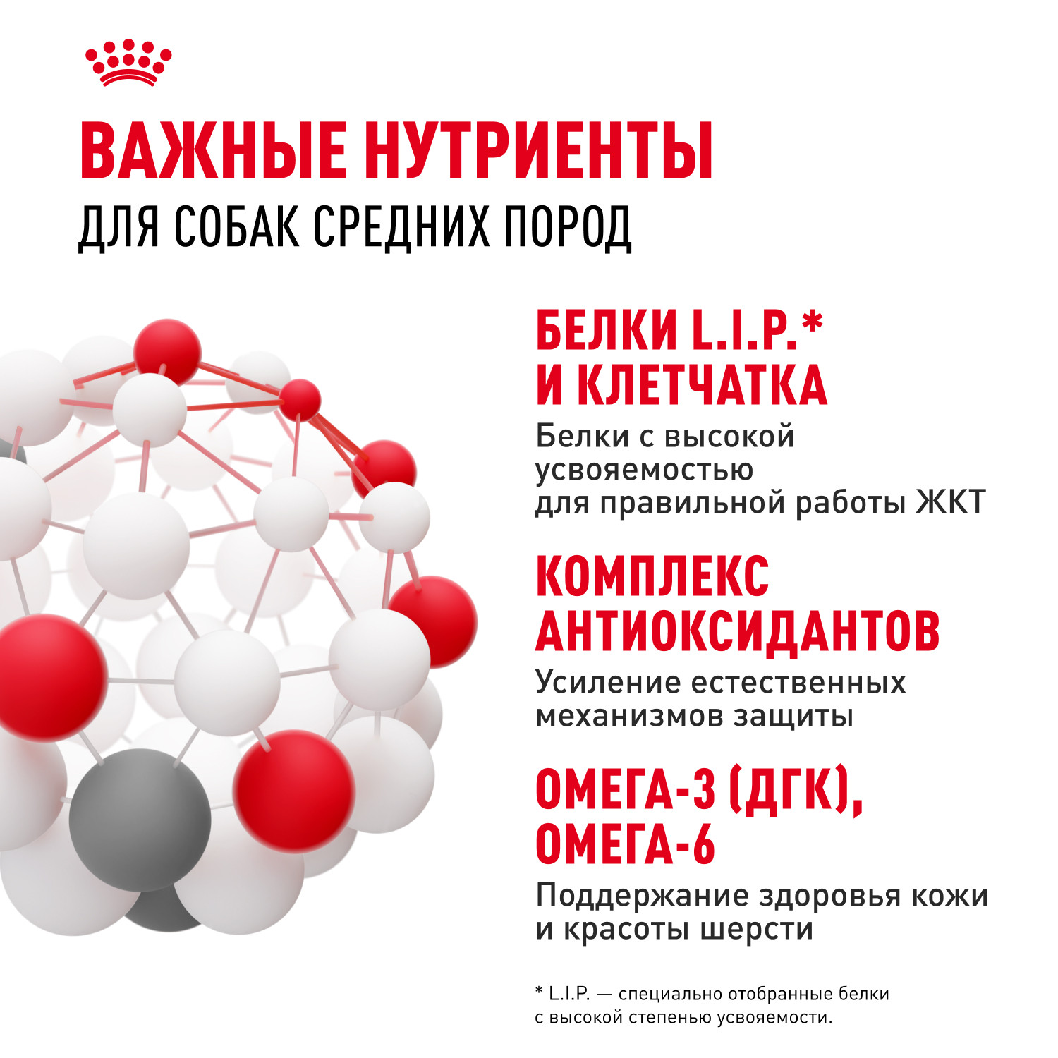 Корм для собак ROYAL CANIN средних пород 15кг - фото 5