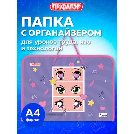 Папка для тетрадей Пифагор А4