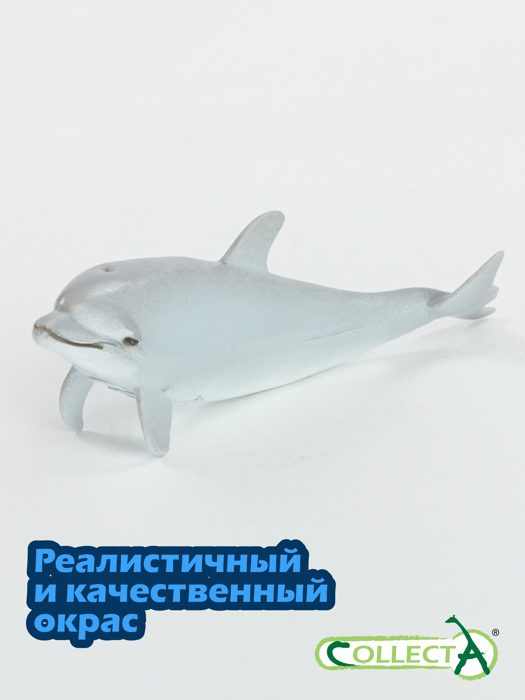 Фигурка Collecta Дельфин афалина детёныш - фото 4