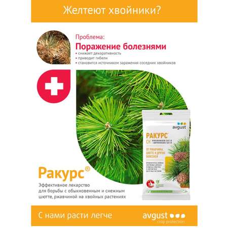 Средство от болезней AVGUST хвойных растений Ракурс СК ампула 4мл