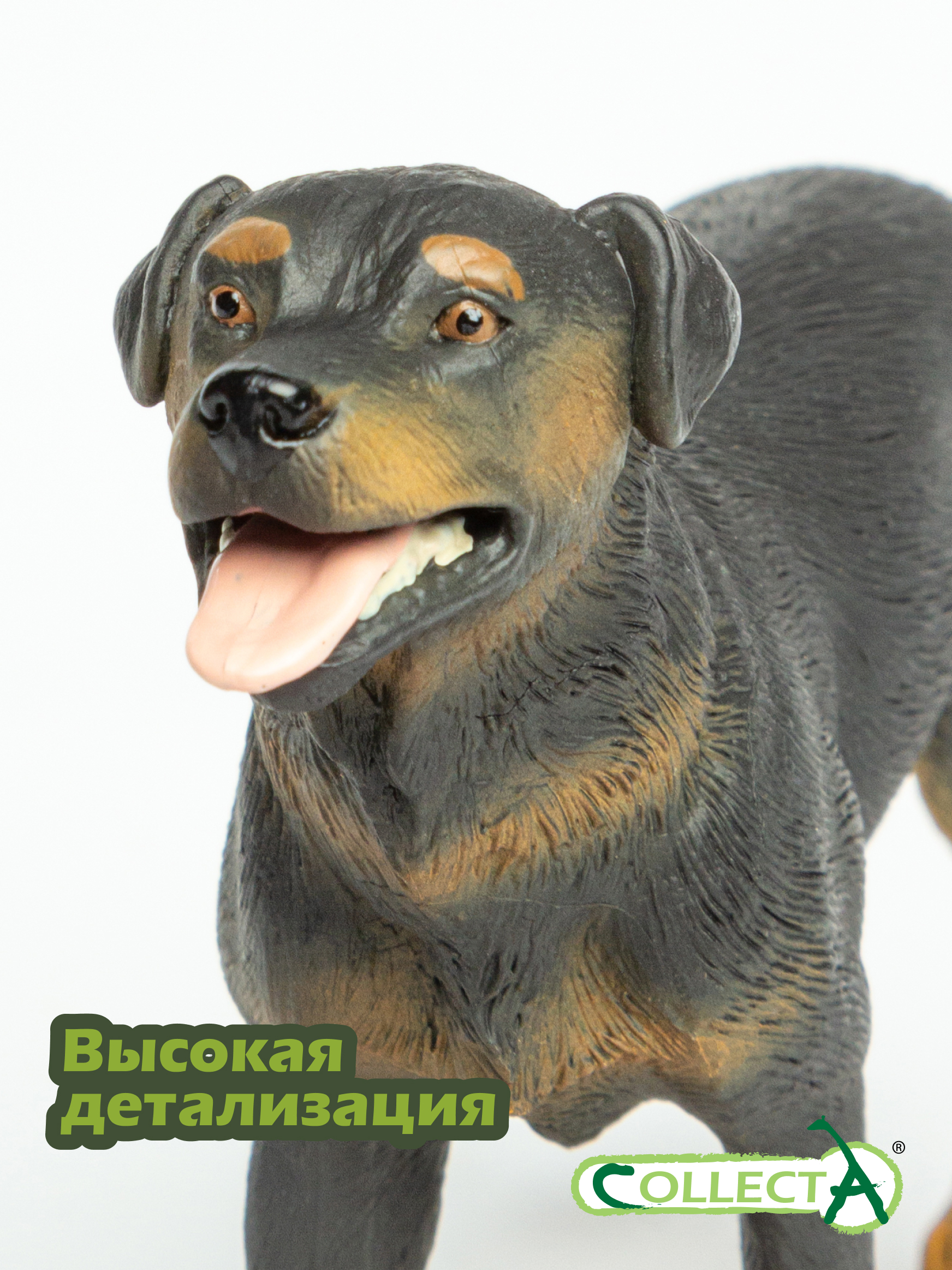 Фигурка Collecta Ротвейлер - фото 3