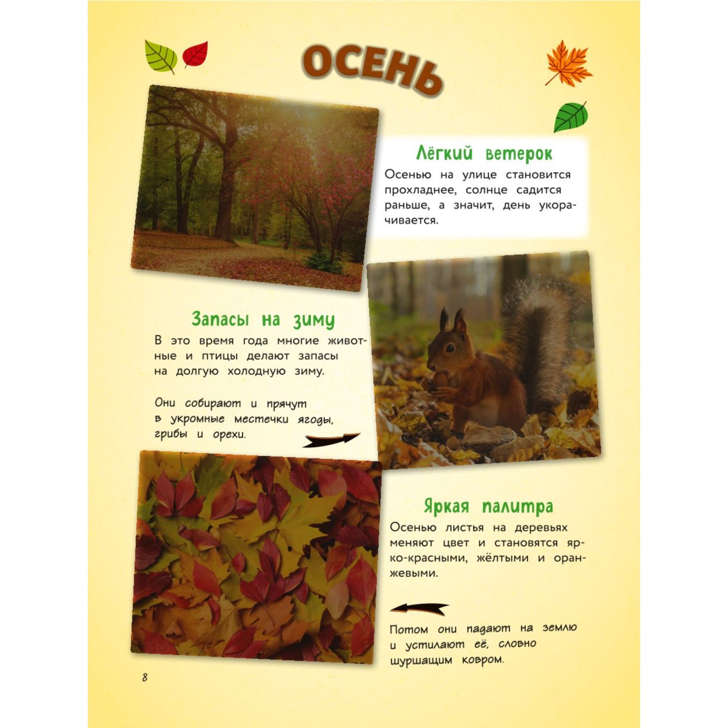 Книга Эксмо Обо всем на свете Большая энциклопедия для маленьких - фото 8