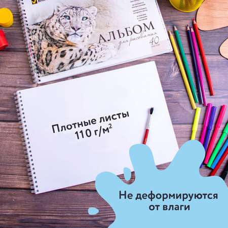 Альбом Brauberg А4 2 шт.