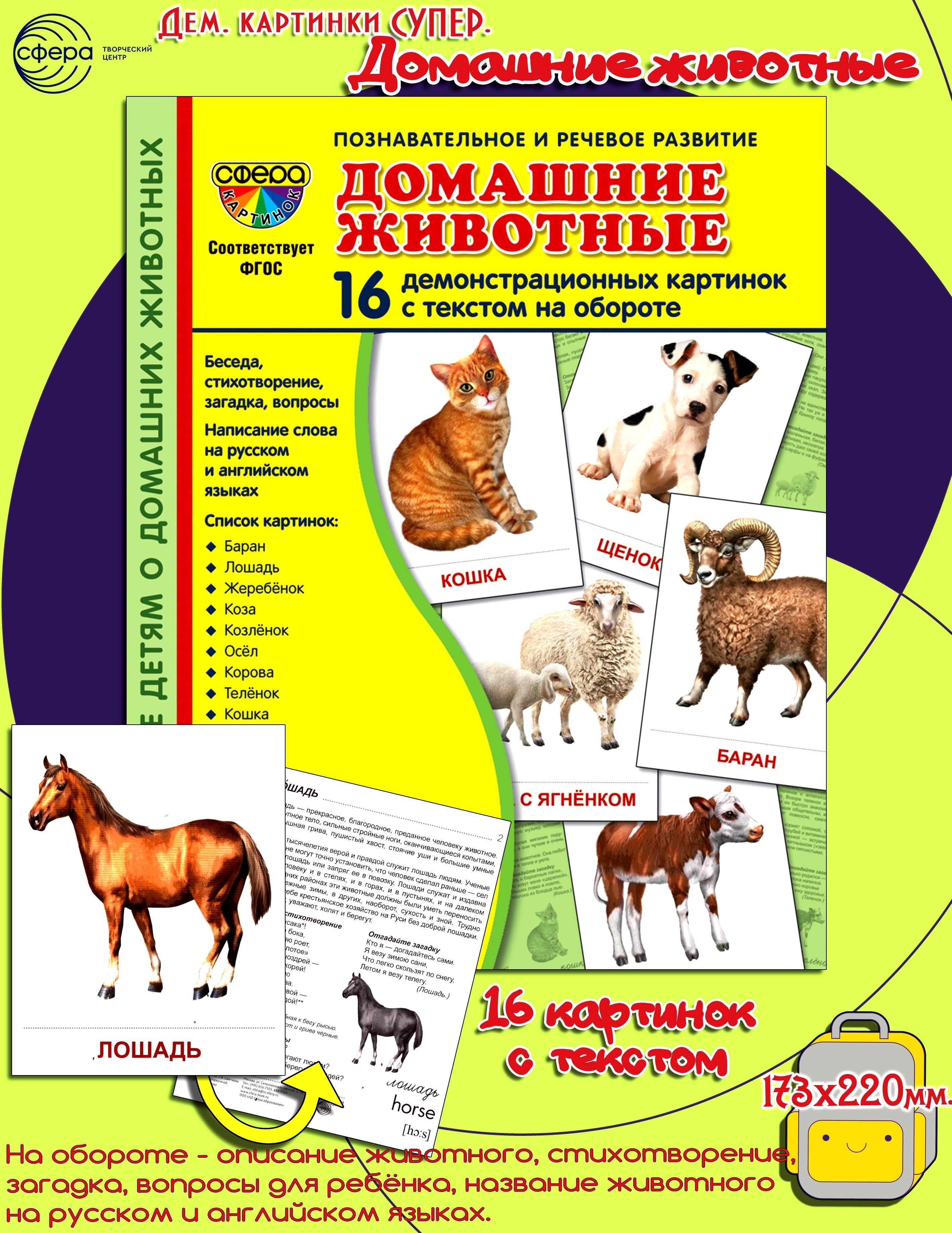 Карточки ТЦ Сфера Домашние животные - фото 1