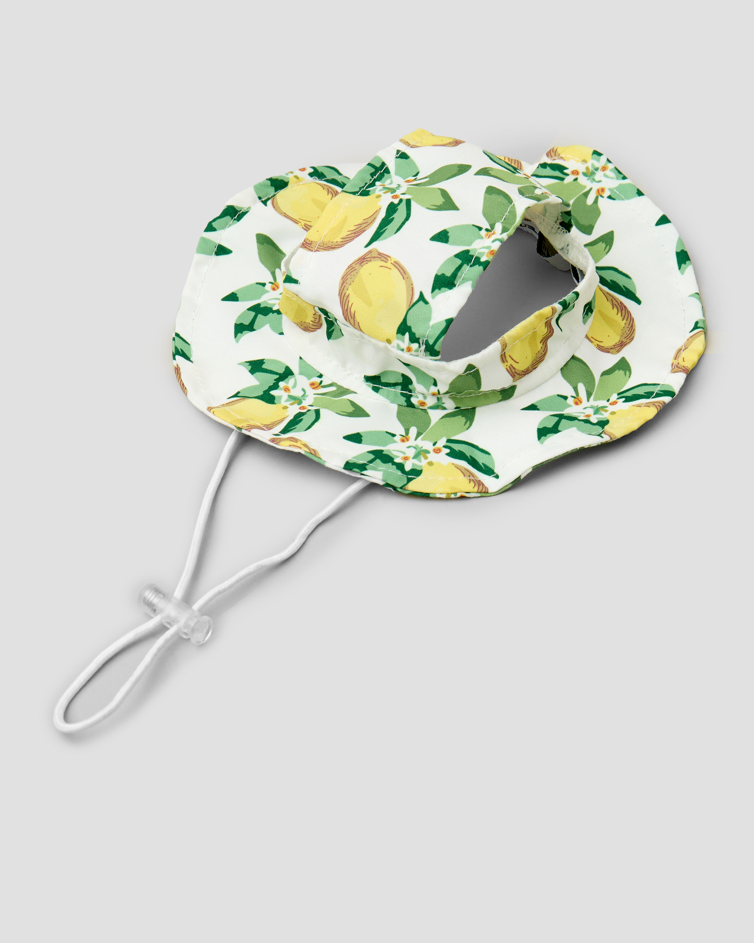 Панама для собак и кошек Зоозавр - фото 1