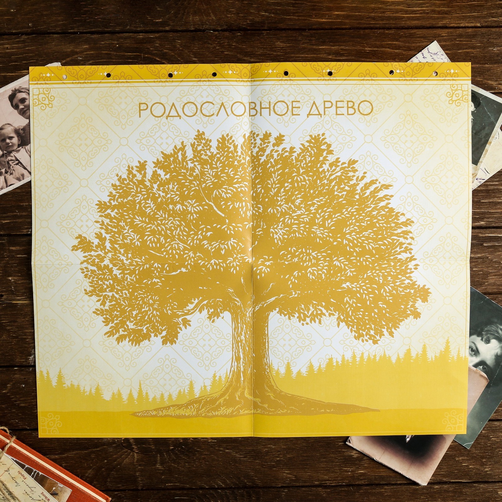 Родословная книга Sima-Land « нашей семьи» 84 страницы 24.5 х 23 х 4 см - фото 7