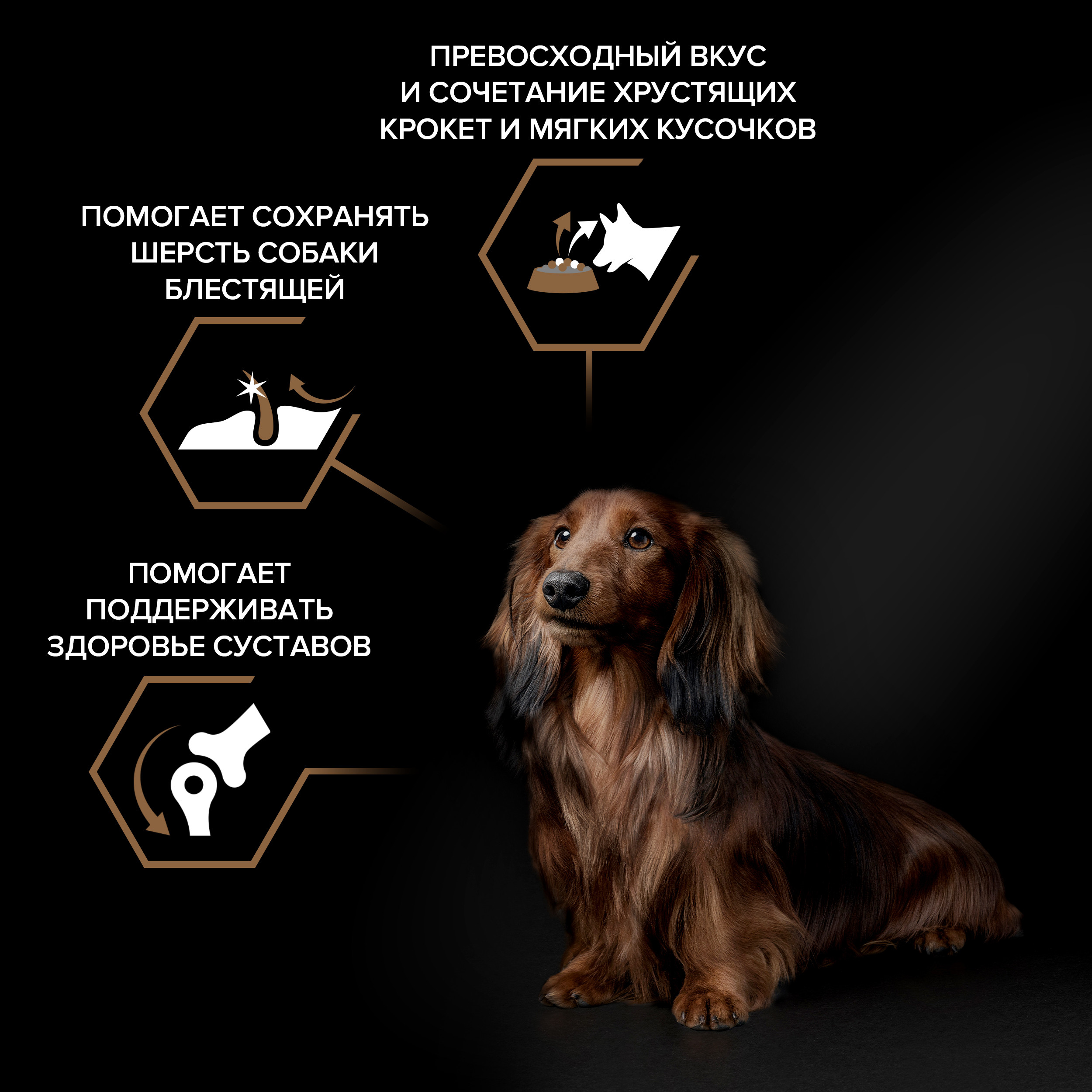 Корм сухой для собак PRO PLAN DUO DELICE 2.5 кг с говядиной для мелких и карликовых пород - фото 2