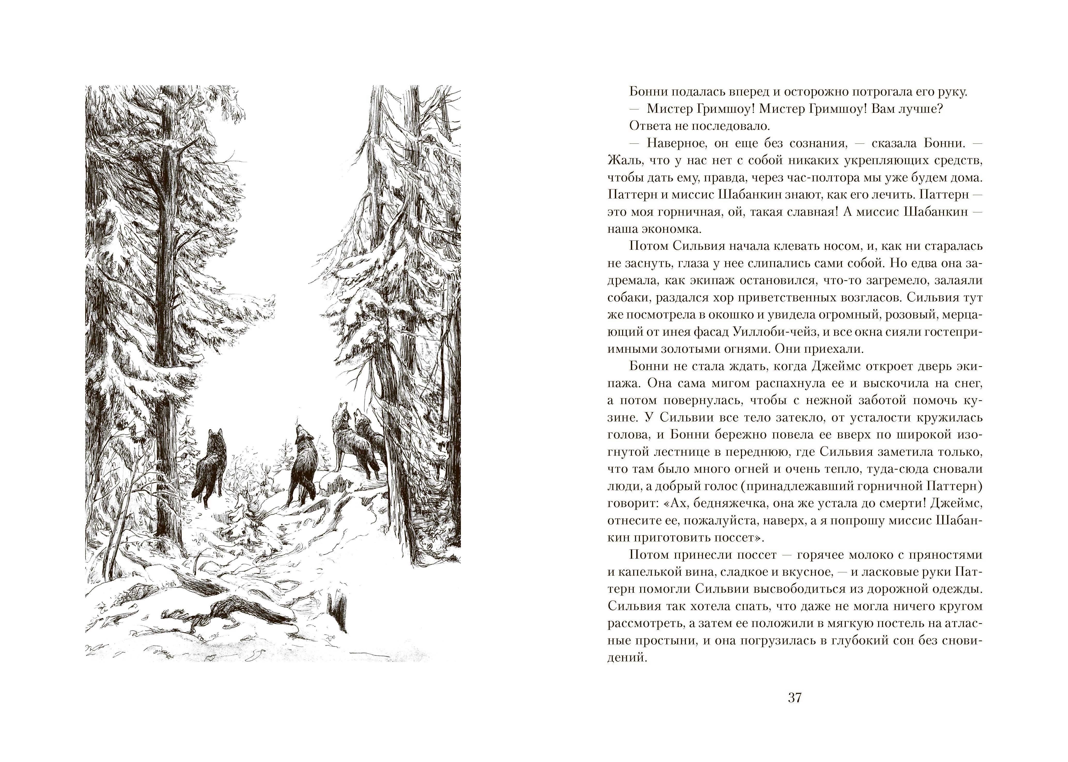 Книга Качели Волки из Уиллоби-Чейз - фото 8