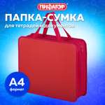 Папка для тетрадей Пифагор А4