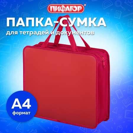 Папка для тетрадей Пифагор А4
