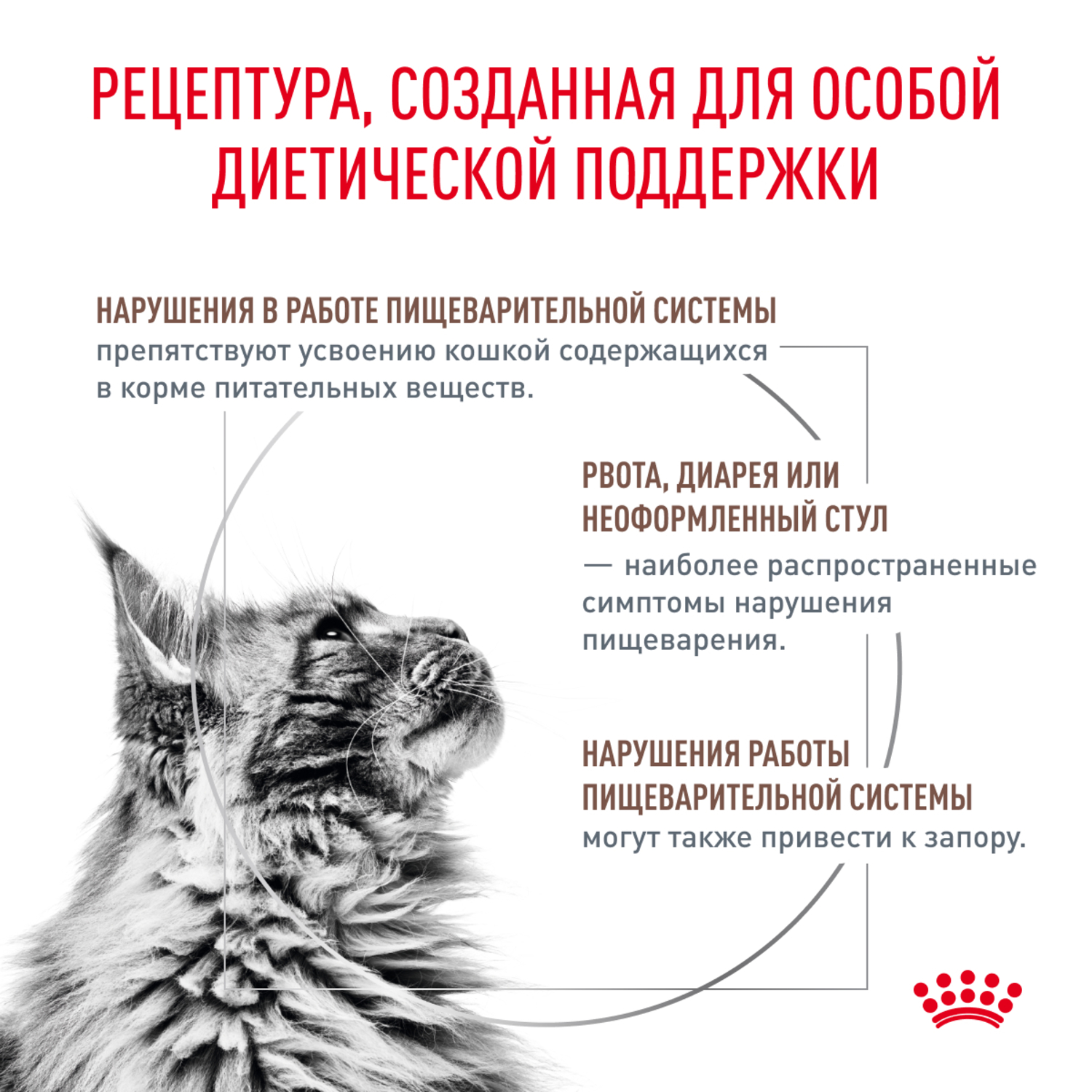 Корм для кошек ROYAL CANIN Fibre Response FR31 при запоре 2кг - фото 2