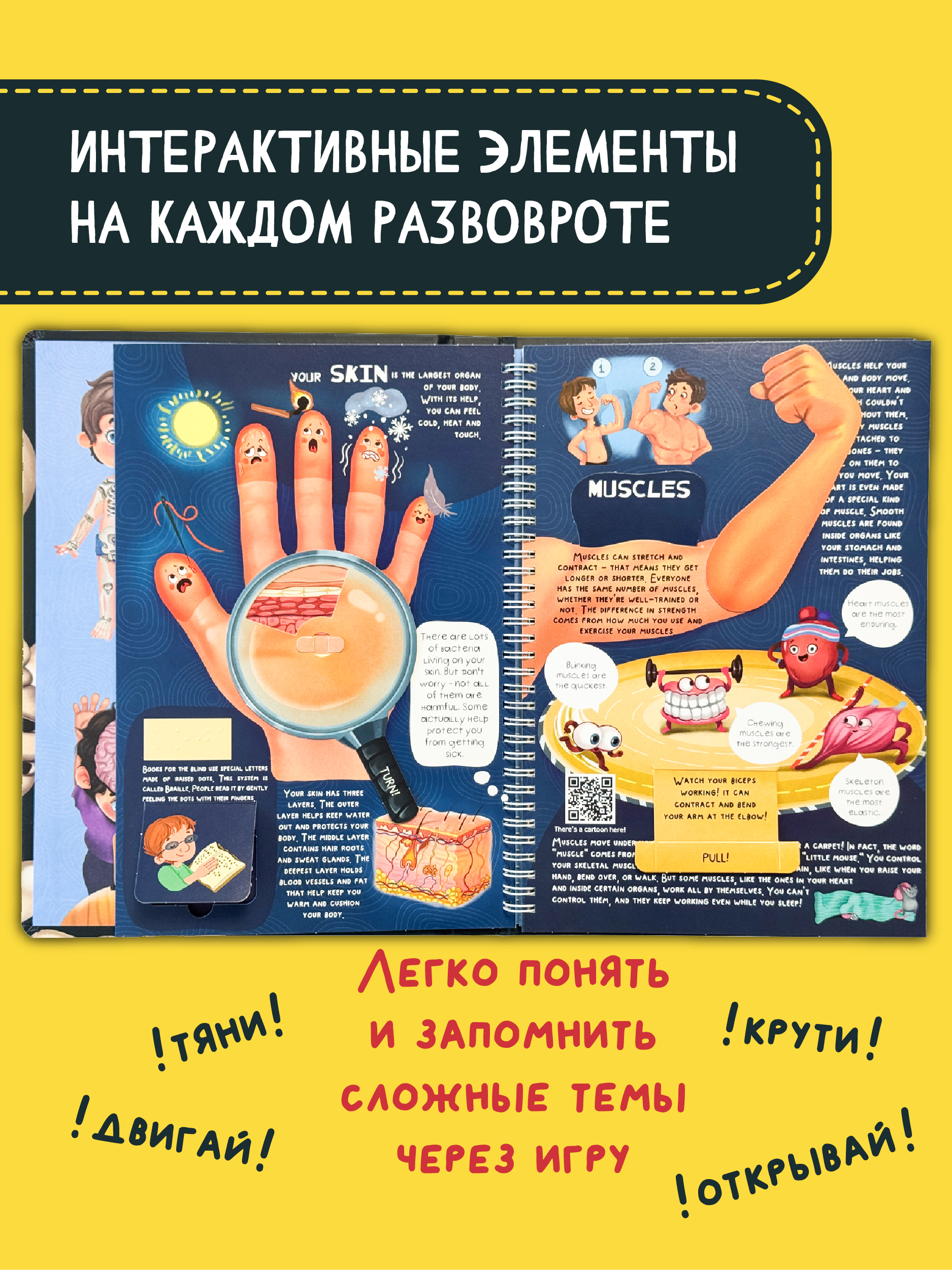 Интерактивная энциклопедия на английском БимБиМон Знакомься твое тело - фото 3