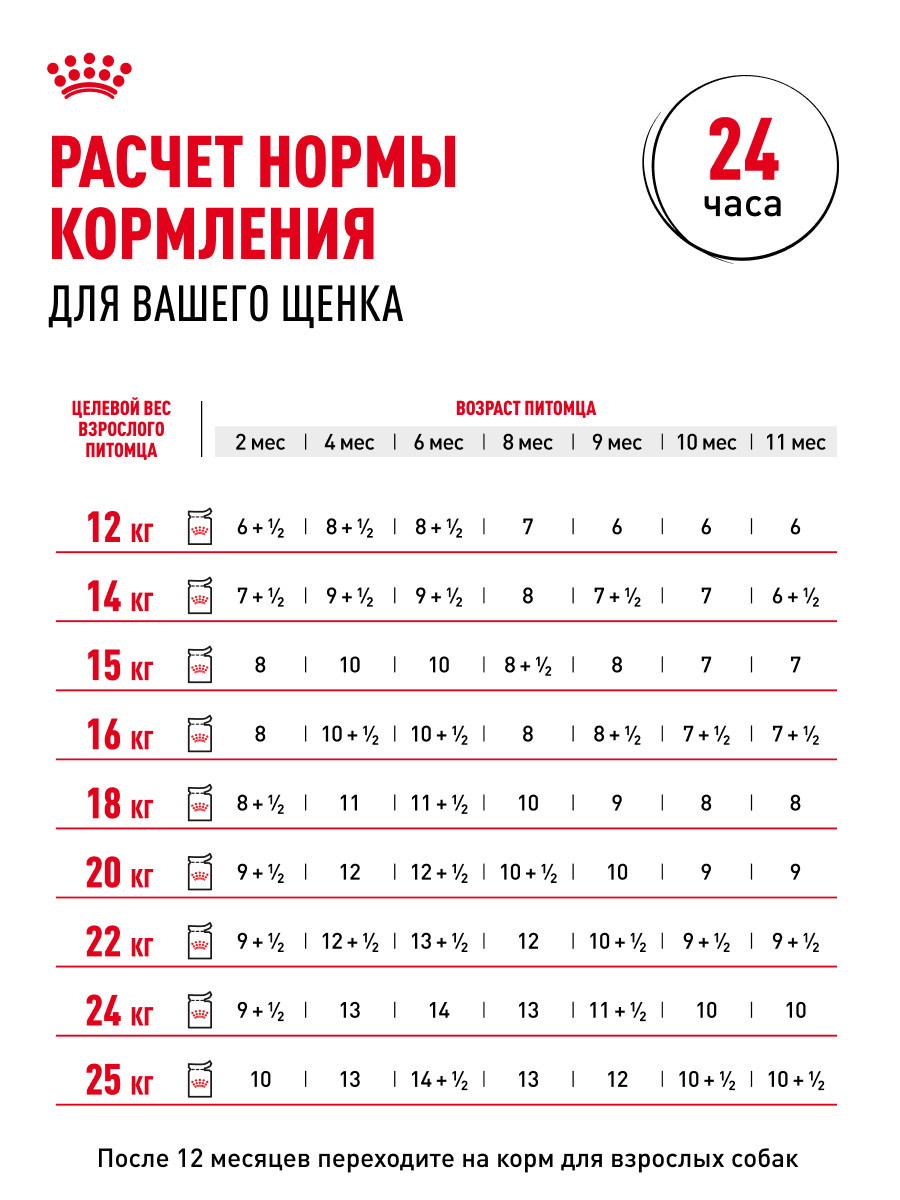 Корм для щенков влажный ROYAL CANIN Medium Puppy средних пород в возрасте до 12 месяцев соус 100 г - фото 9