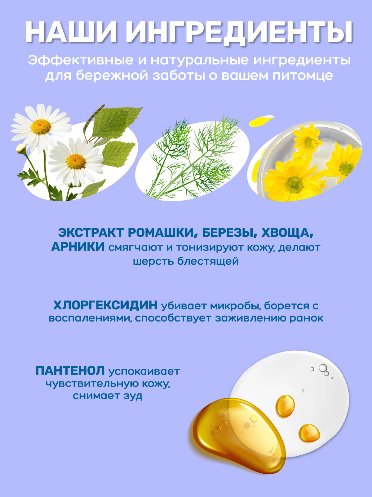 Шампунь для собак и кошек ZOORIK антибактериальный с губкой 500 мл - 2 шт - фото 7