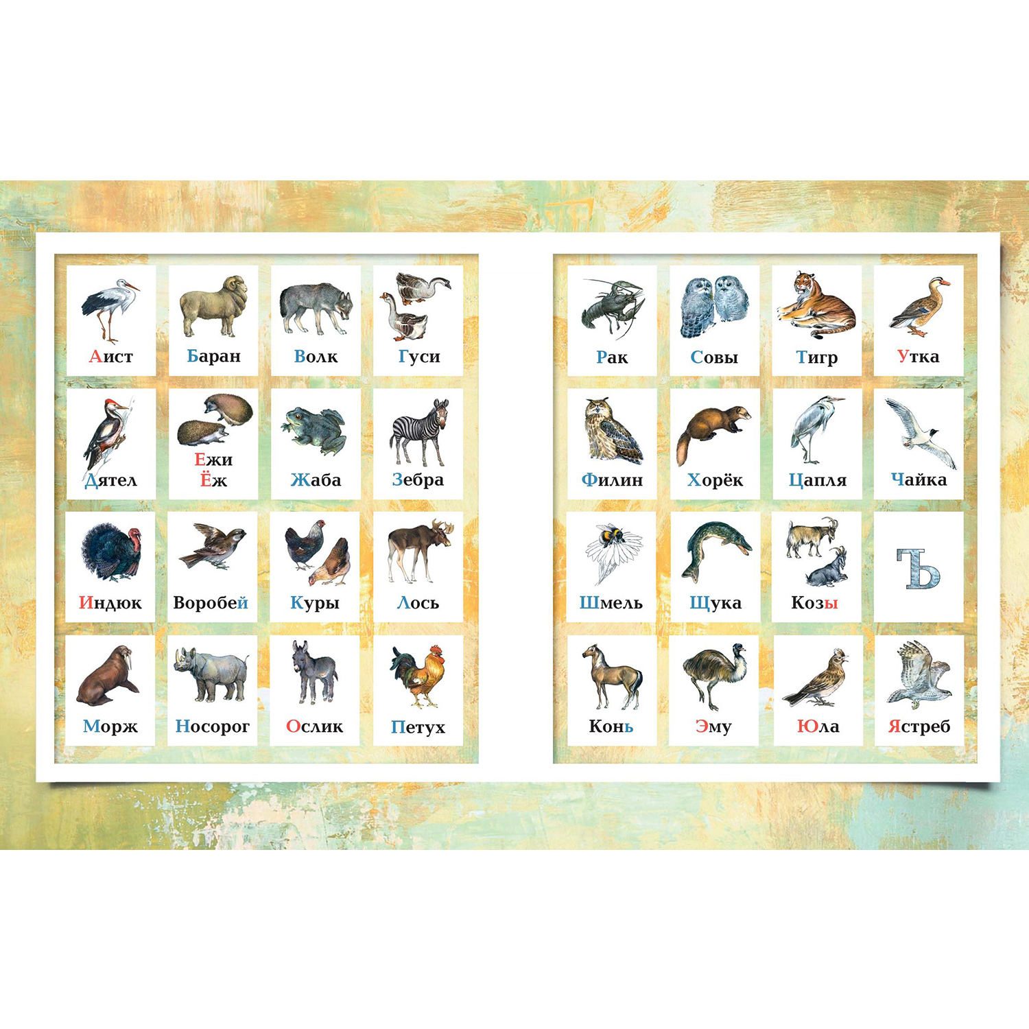 Книга ЭНАС-книга Азбука в картинках - фото 5