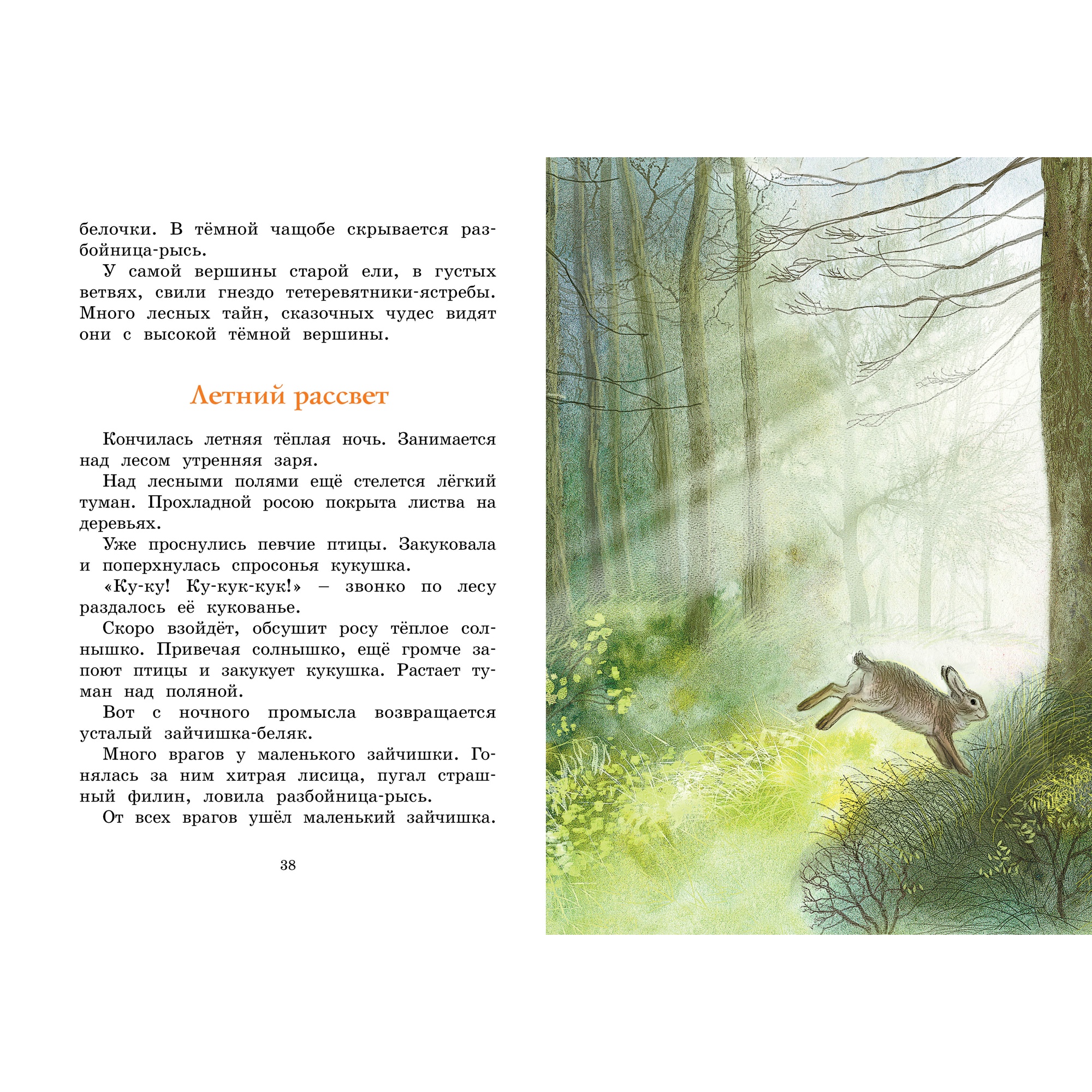 Книга МАХАОН Год в лесу. Рассказы о природе Соколов-Микитов И. - фото 6