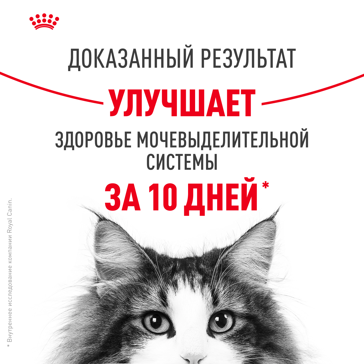 Корм для кошек ROYAL CANIN Urinary Care для поддержания здоровья мочевыделительной системы 85г - фото 10