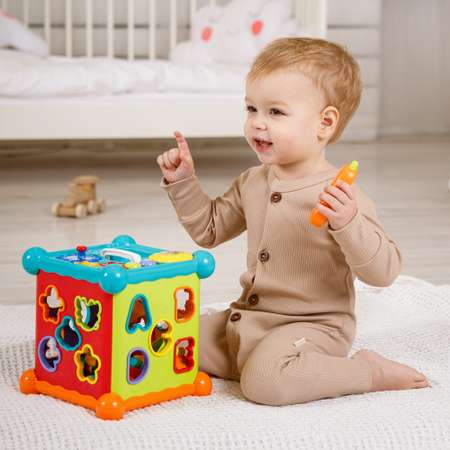 Игрушка Amarobaby сортер
