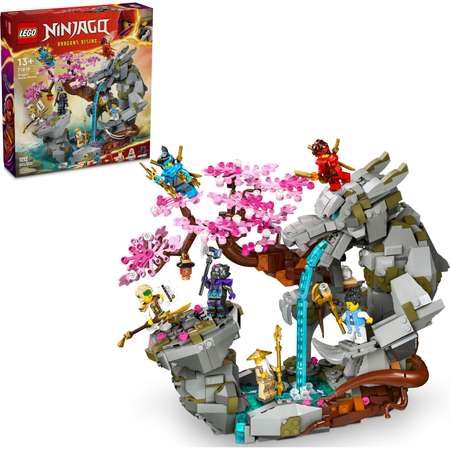 Конструктор LEGO NINJAGO Храм камня дракона блочный