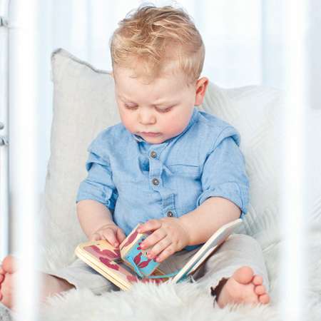 Игрушка Hape книжка