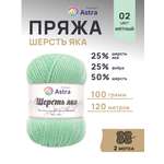 Пряжа Astra Premium Шерсть яка Yak wool теплая мягкая 100 г 120 м 02 мятный 2 мотка