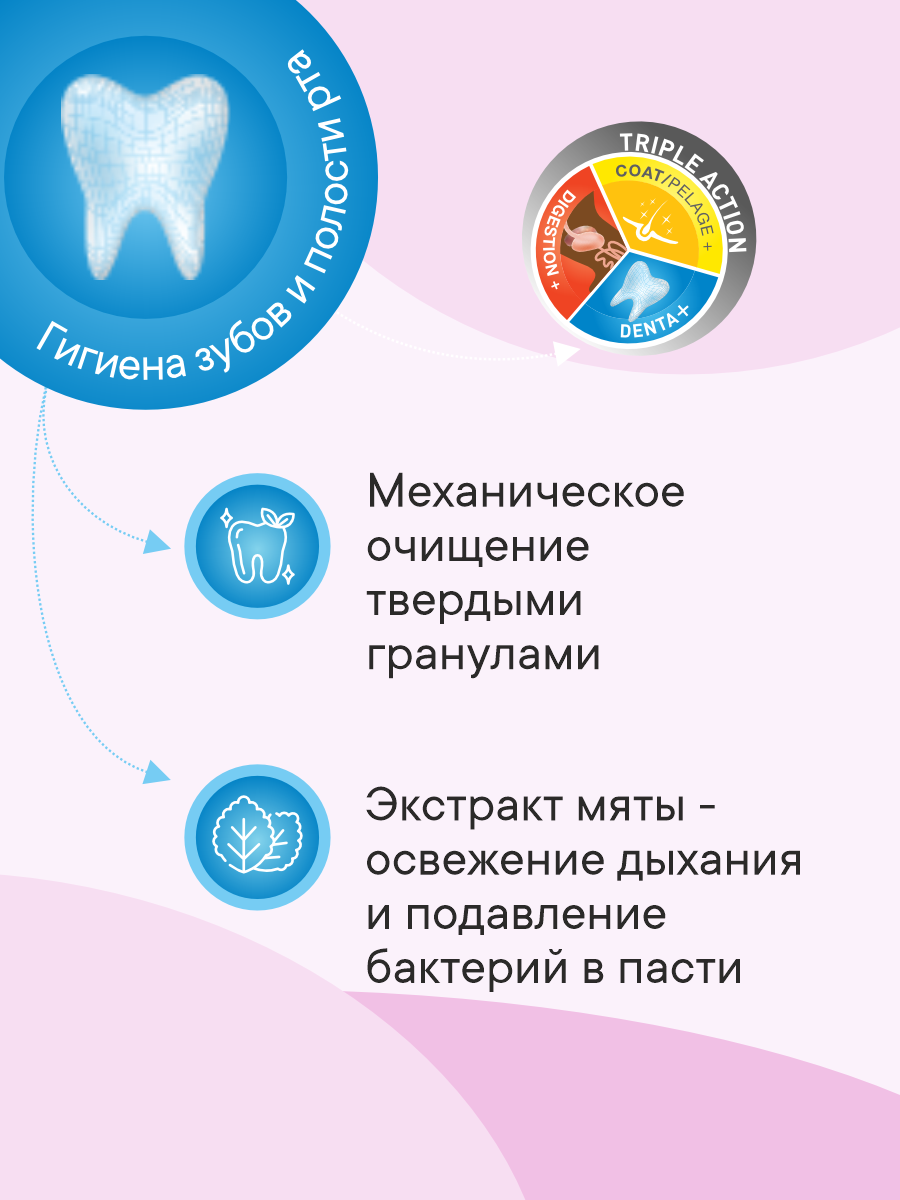 Корм сухой 1st Choice Здоровая кожа и шерсть для собак мелких пород на ягненке с рыбой и рисом 7кг - фото 4