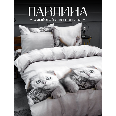 КПБ PAVLine КПБ полисатин 1,5 сп. рис. Котики белые