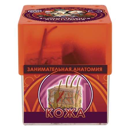 Набор для опытов Профессор Эйн