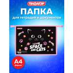 Папка для тетрадей Пифагор черный кот А4