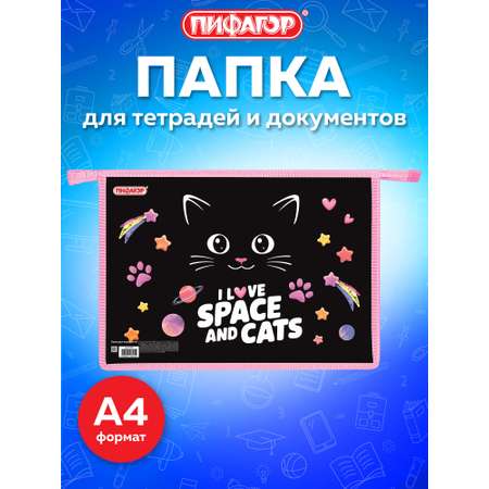 Папка для тетрадей Пифагор черный кот А4