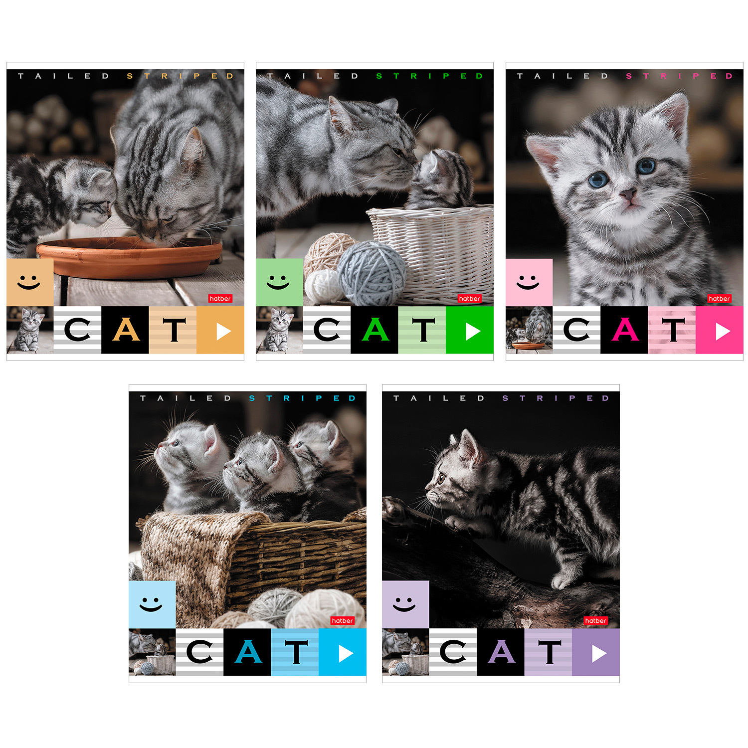 Изображение товара Общая тетрадь Hatber клетка 40 лист. в ассортименте