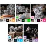 Общая тетрадь Hatber клетка 40 лист. в ассортименте