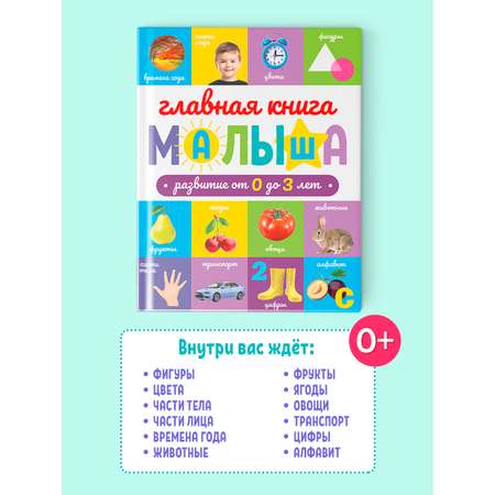Книга Проф-Пресс развивающая Главная книга малыша от 0 до 3 лет 128 стр