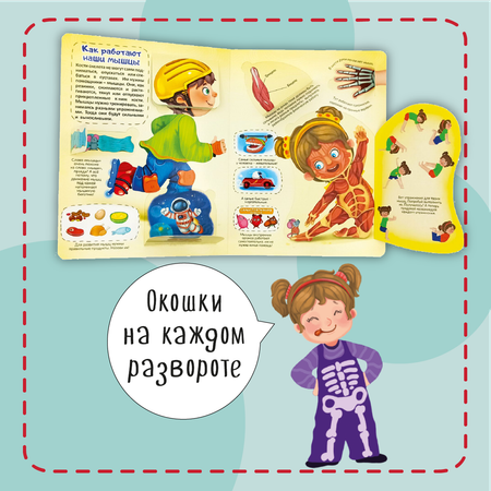 Книжка для малышей BimBiMon с окошками. Моя первая анатомия Виммельбух