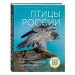 Книга ЭКСМО-ПРЕСС Птицы России Большая иллюстрированная энциклопедия