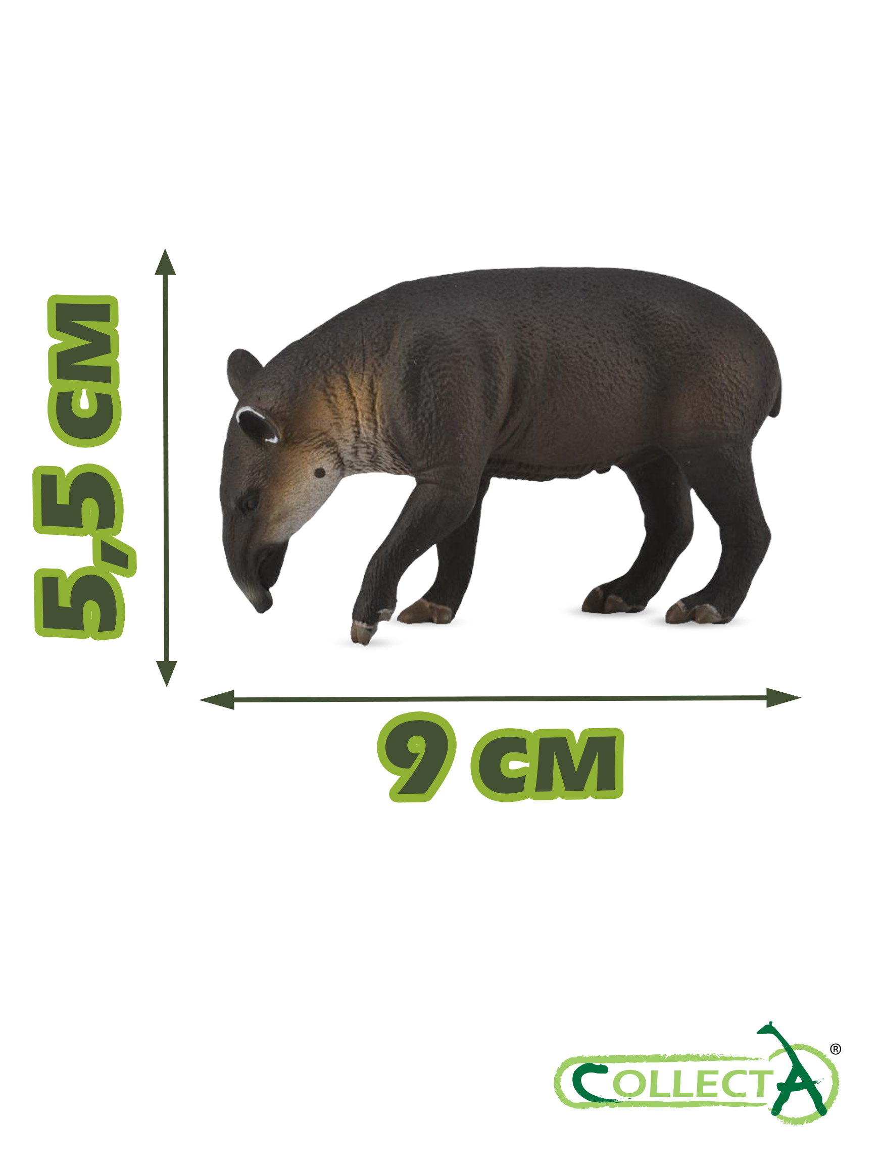 Фигурка Collecta Тапир Бэрда - фото 2