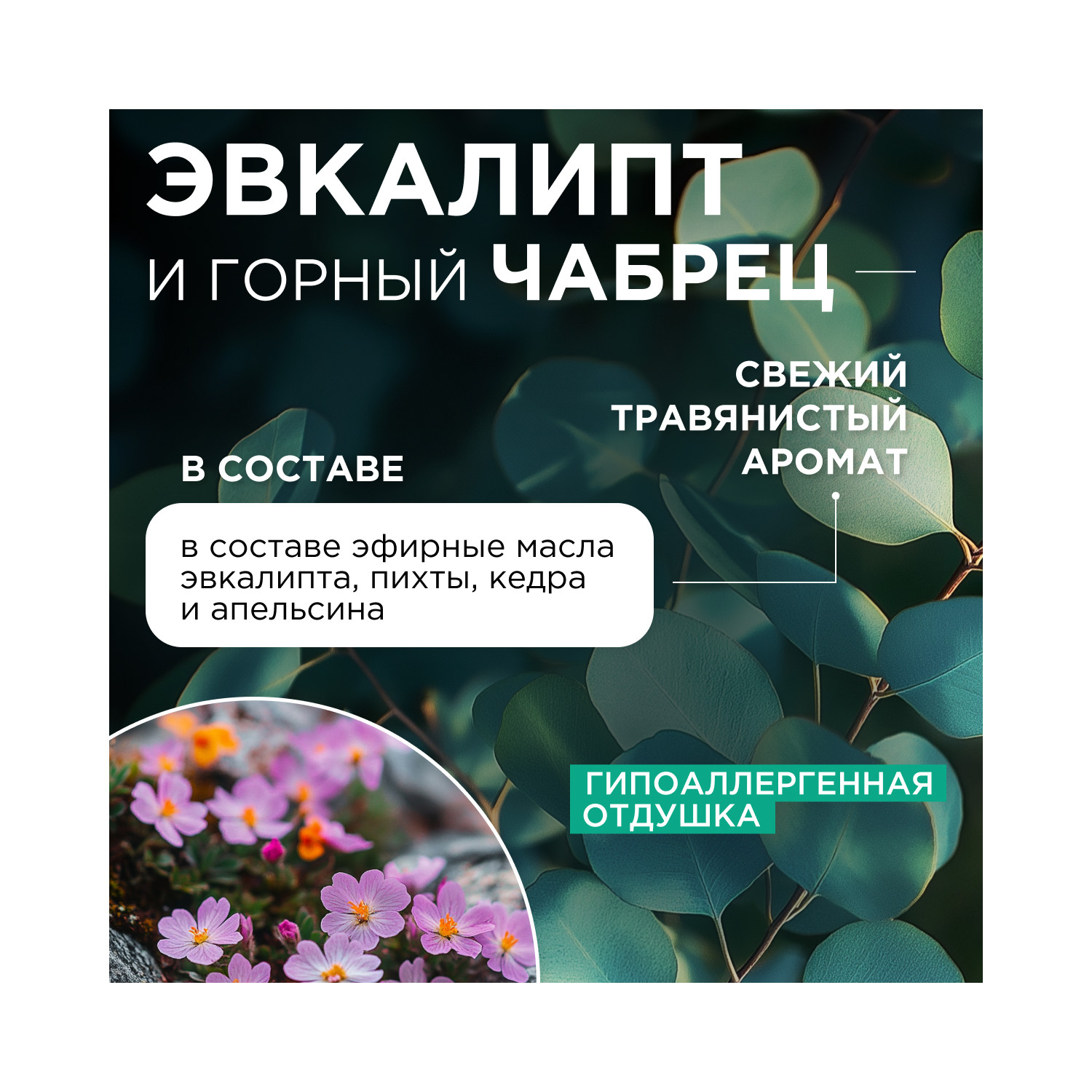 Средство для мытья посуды Synergetic Эвкалипт-Горный чабрец 500 мл - фото 5