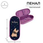 Пенал футляр Calligrata
