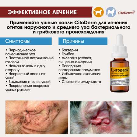 Капли ушные для животных CitoDerm противогрибковые+ 10мл