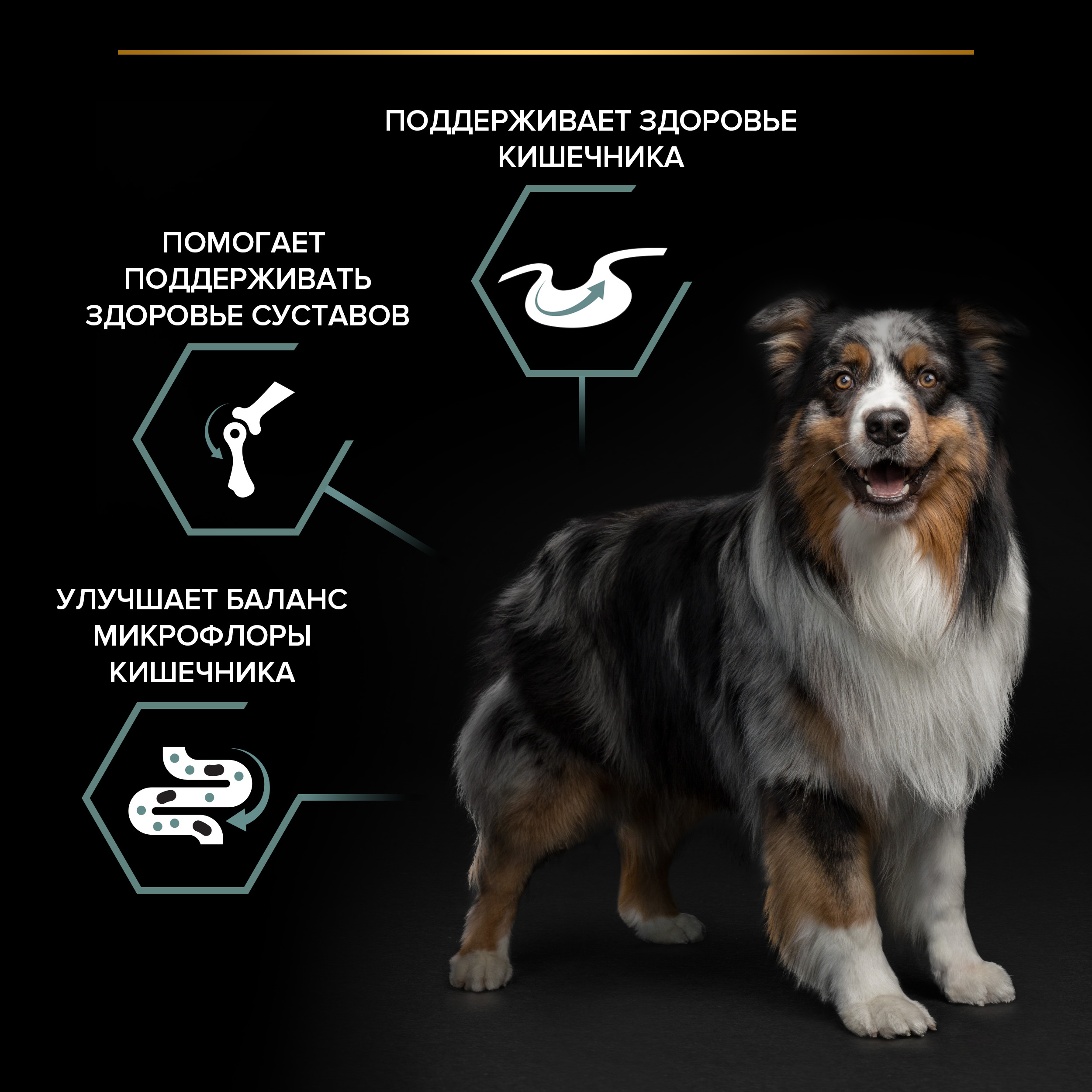 Корм для собак PRO PLAN для средних пород с чувствительным пищеварением с комплексом Optidigest ягненок с рисом 7кг - фото 5