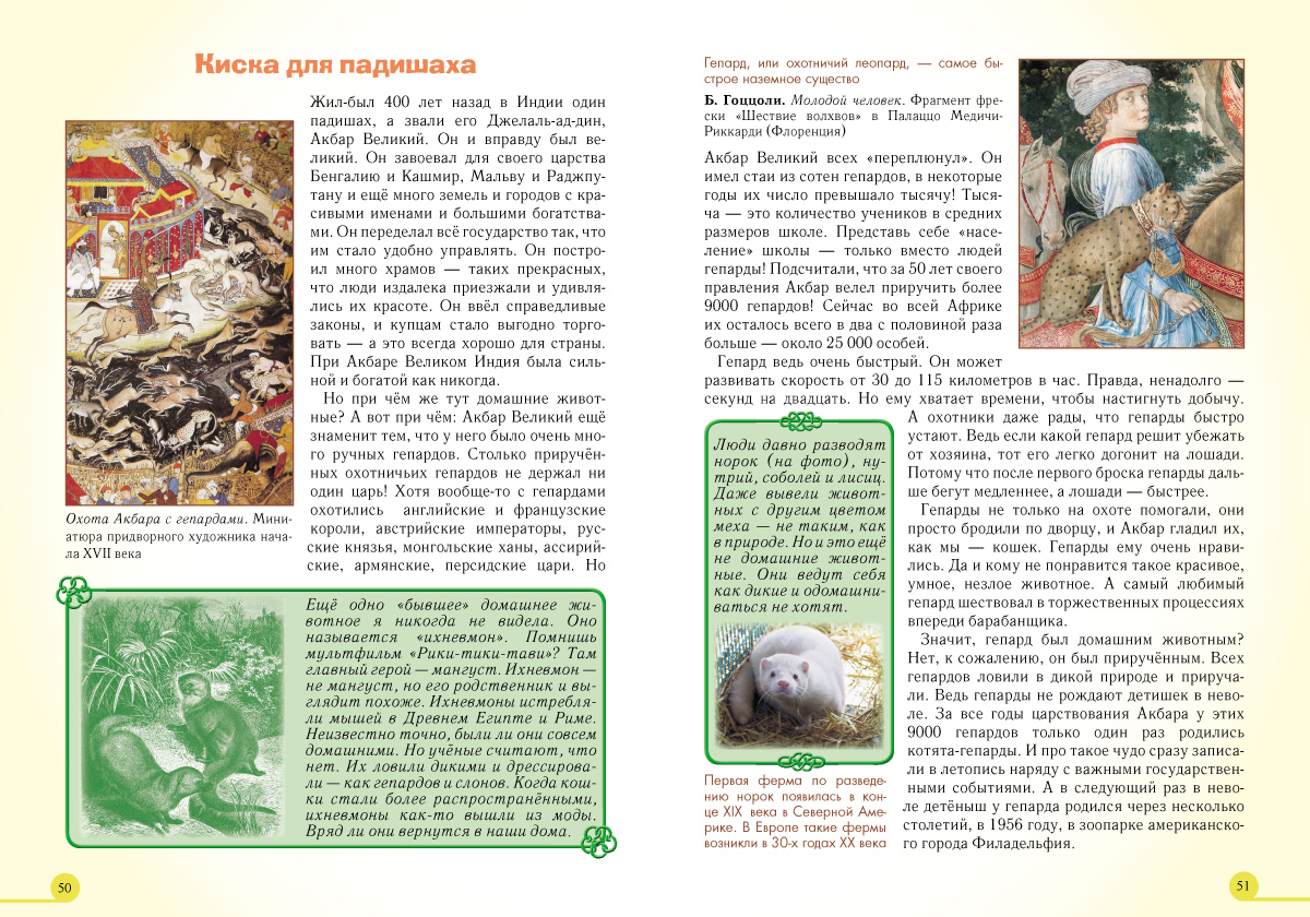 Книга Белый город Домашние животные - фото 9