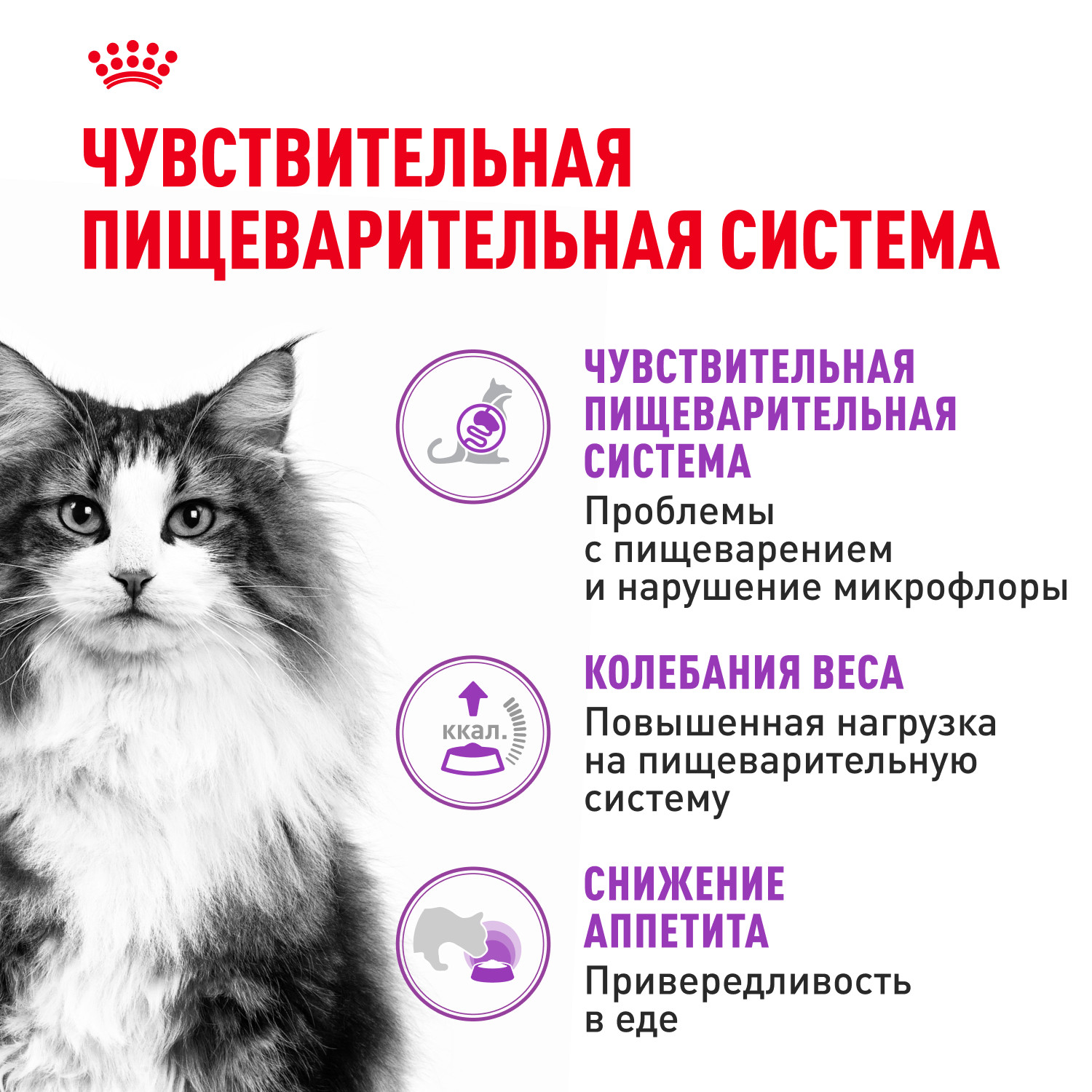 Корм сухой для кошек ROYAL CANIN Sensible 33 400г с чувствительной пищеварительной системой - фото 2