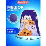 Мешок для обуви Пифагор кошачий привет