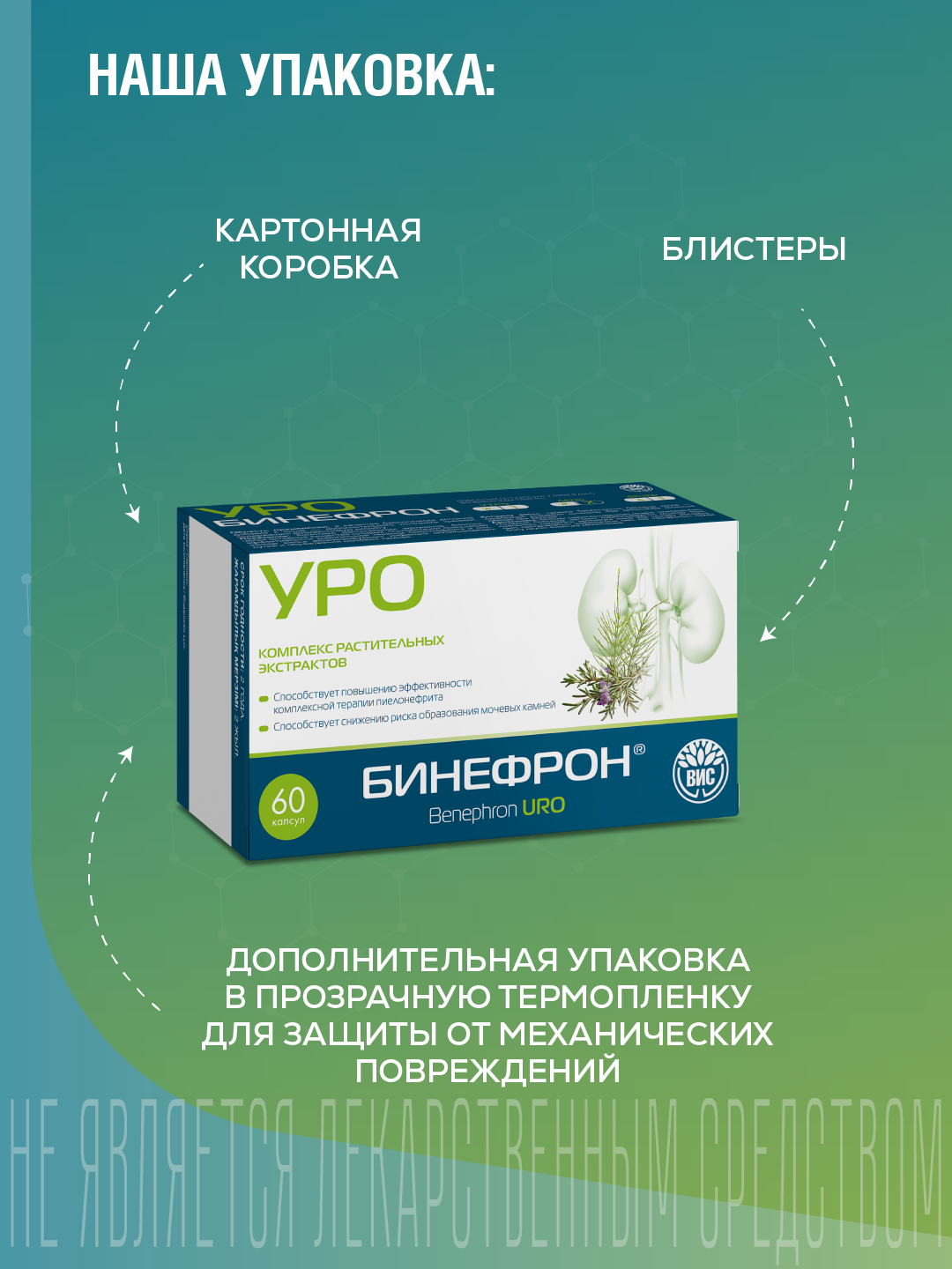 БАД ВИС Бинефрон УРО капсулы №60 - фото 13